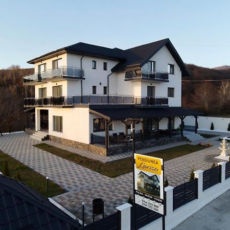 Casa De Vacanta Larisa Новачі-Страіні Екстер'єр фото