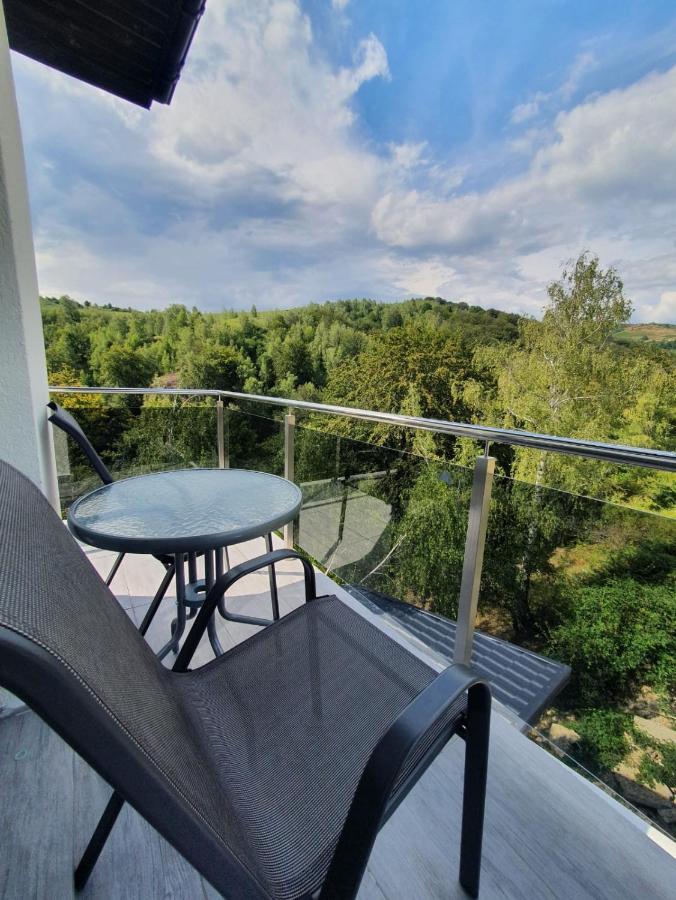 Casa De Vacanta Larisa Новачі-Страіні Екстер'єр фото