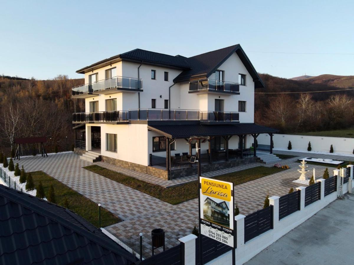 Casa De Vacanta Larisa Новачі-Страіні Екстер'єр фото